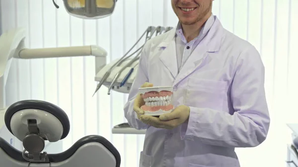 Dentista mostra layout de dentes humanos no escritório — Fotografia de Stock