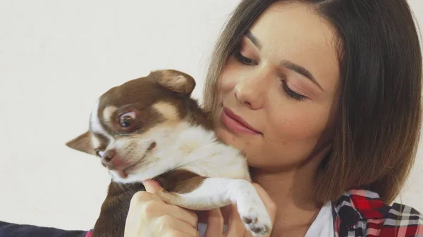 Девушка обнимает свою собаку — стоковое фото