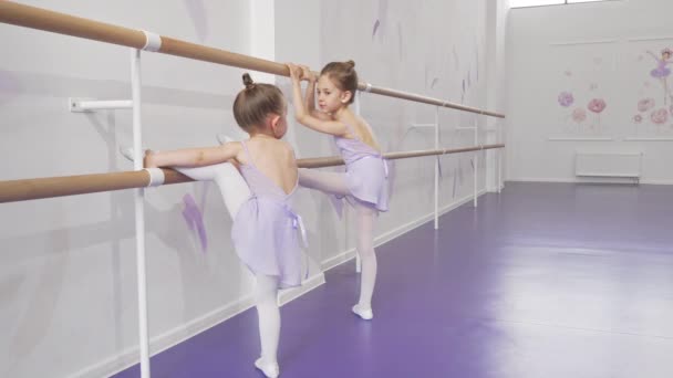 Two cute little ballerinas stretching at ballet school together — Stock Video