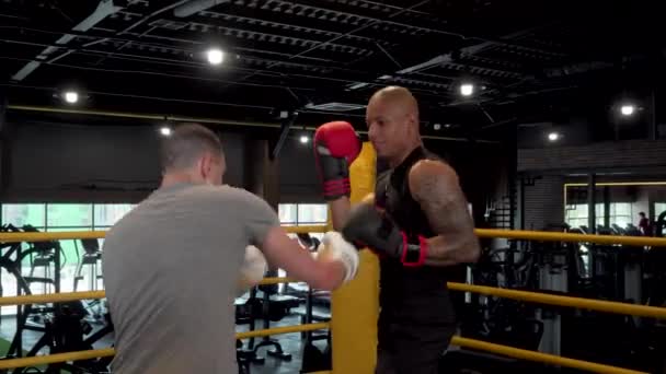 Dos boxeadores masculinos que luchan en el ring de boxeo en el gimnasio — Vídeos de Stock