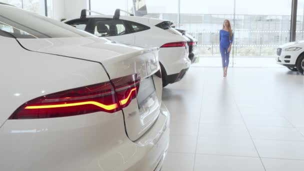 Woman choosing new automobile at car dealership — Stock Video