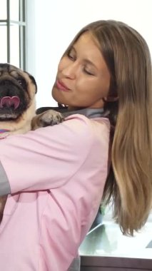 Yumuşak pembe bornozlu neşeli genç bir kadın sevgi dolu bir köpek beşiği ile samimi bağlarını gözler önüne seriyor. Parlak, havadar veteriner kliniği sıcaklık ve bakım saçarken, canlı bir eşarpla süslenen pug mutluluk saçar.