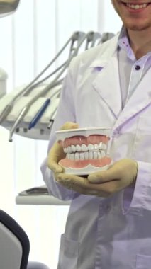 Neşeli, sarışın bir dişçi titizlikle hazırlanmış insan dişleri modelini şık, modern bir diş kliniğinde somutlaştırırken gururla ışıldıyor. Beyaz önlük ve eldivenlerle donanmış yakışıklı beyaz doktor, kendinden emin bir şekilde ayakta duruyor.