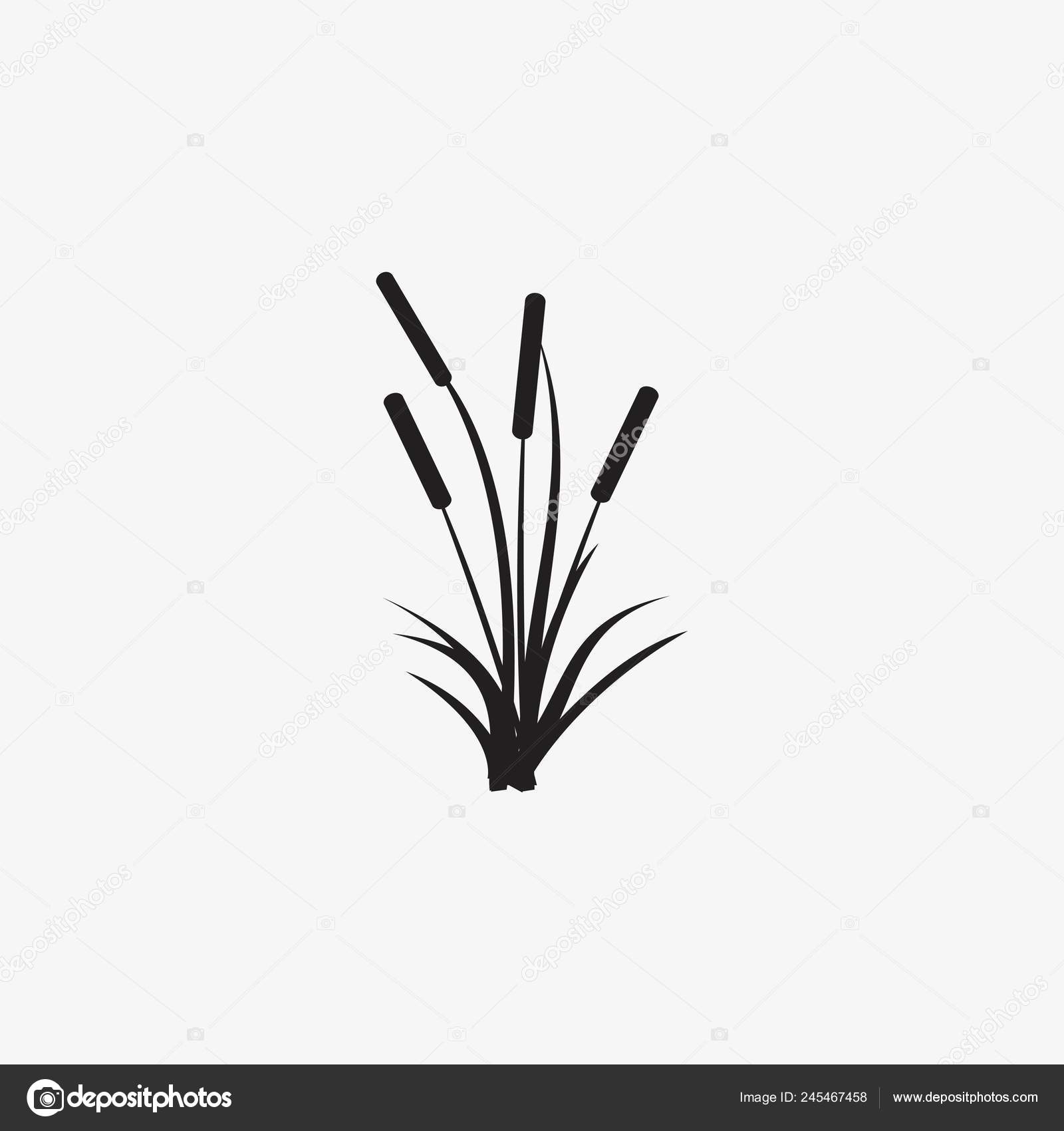 Roseaux Fond Blanc Images Vectorielles Roseaux Fond Blanc Vecteurs Libres De Droits Page 4 Depositphotos