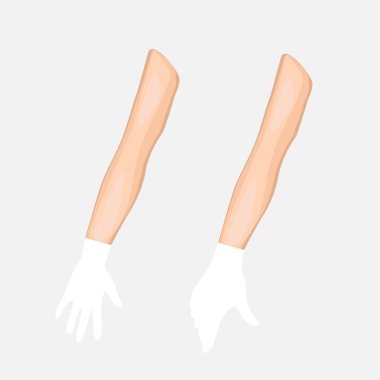 steril eldiven ellerinde. vektör çizim.