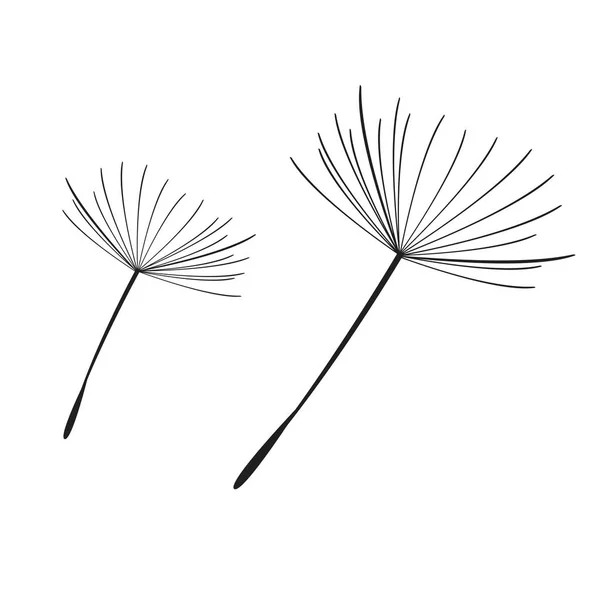 タンポポの種子が飛んでのシルエット タンポポの黒い輪郭線 花の白黒イラストです 夏の植物 — ストックベクタ