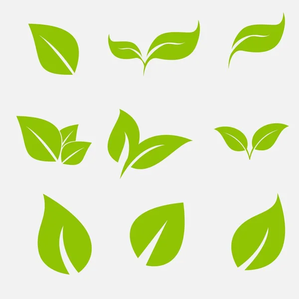 Векторная Коллекция Зелеными Листьями Плоском Стиле Иконок Графического Дизайна — стоковый вектор