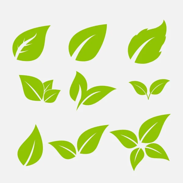 Vector Collection Green Leaves Flat Style Icons Graphic Design — Stock Vector