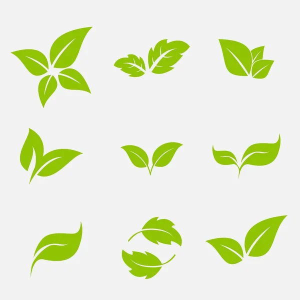 Vector Collection Green Leaves Flat Style Icons Graphic Design — Stock Vector