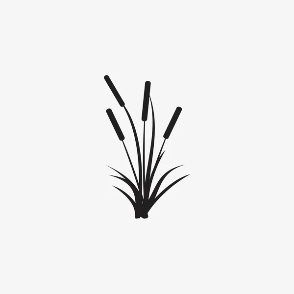 Reeds Illustration Vector Icon Isolate Background — Stock Vector