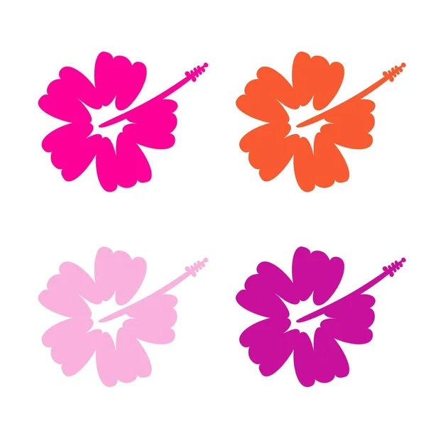 Ensemble Fleurs Hibiscus Surf Symbole Tropical — Image vectorielle