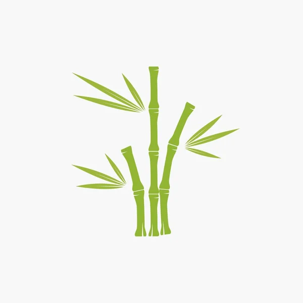Bamboo Tree Logo Isolate Background — Stock Vector