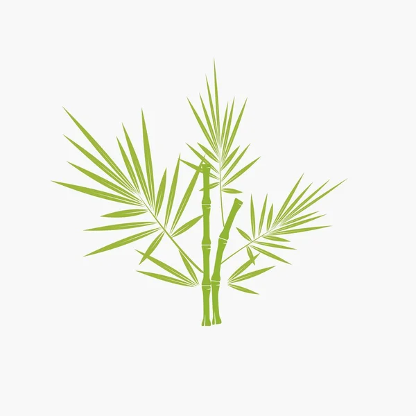 Bamboo Tree Logo Isolate Background — Stock Vector