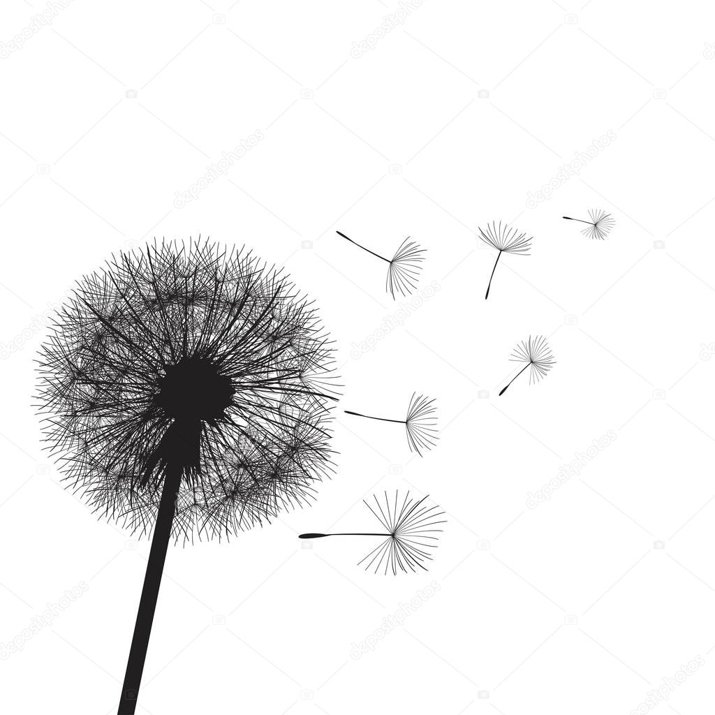 Vector illustration dandelion time. Two dandelions blowing in the wind. The wind inflates a dandelion