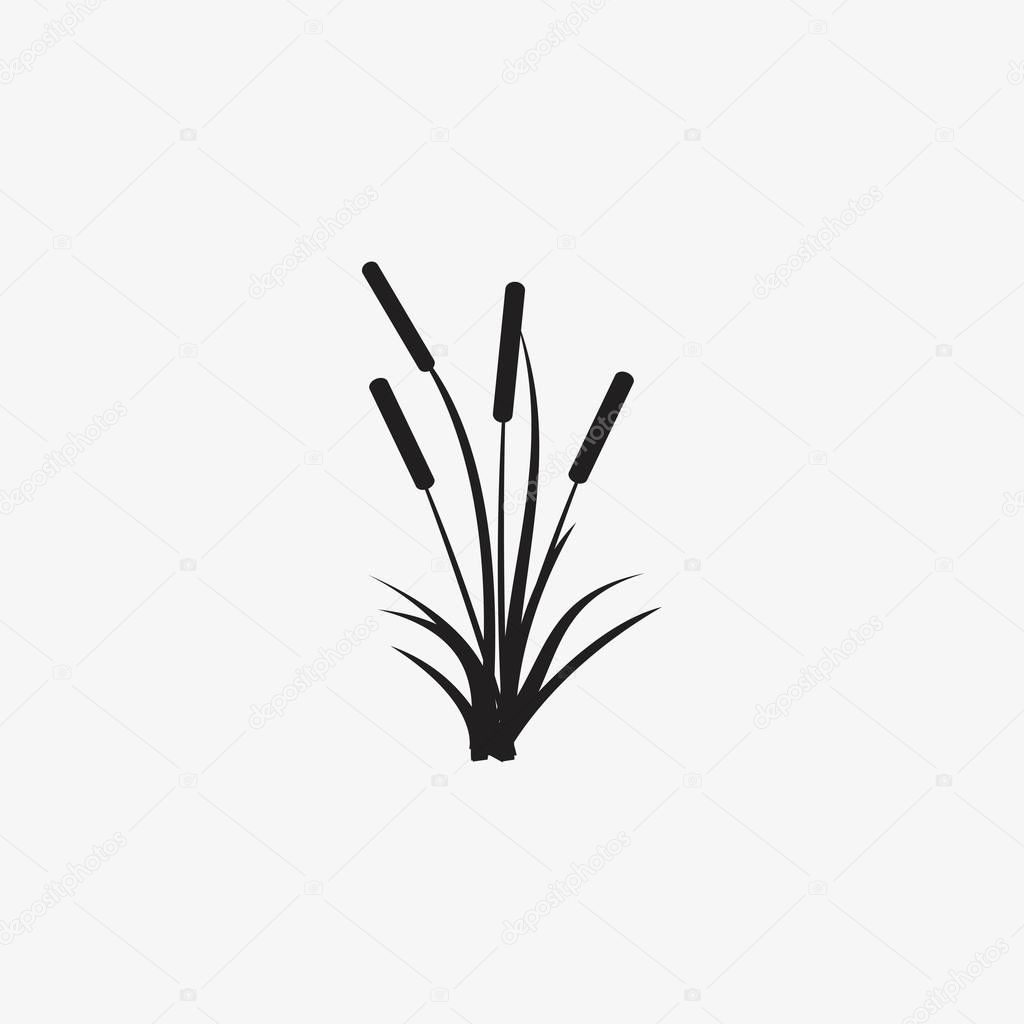 reeds illustration vector icon Isolate Background 