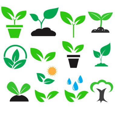 yeşil bitki ve renk simgeleri vektör seti bırakın