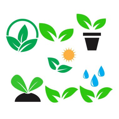 yeşil bitki ve renk simgeleri vektör seti bırakın