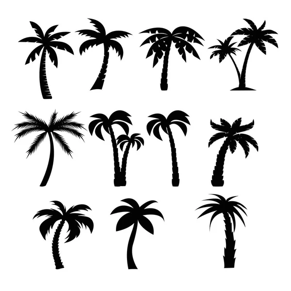 Palm bomen zwarte silhouetten set — Stockvector