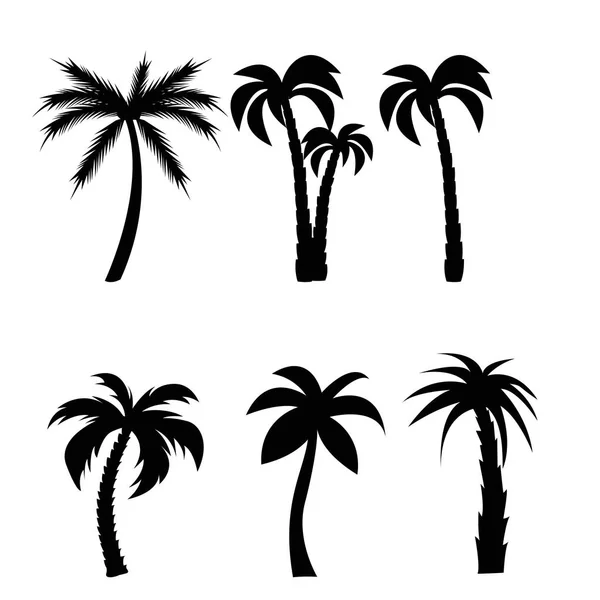 Набір чорних силуетів з пальмових дерев — стоковий вектор