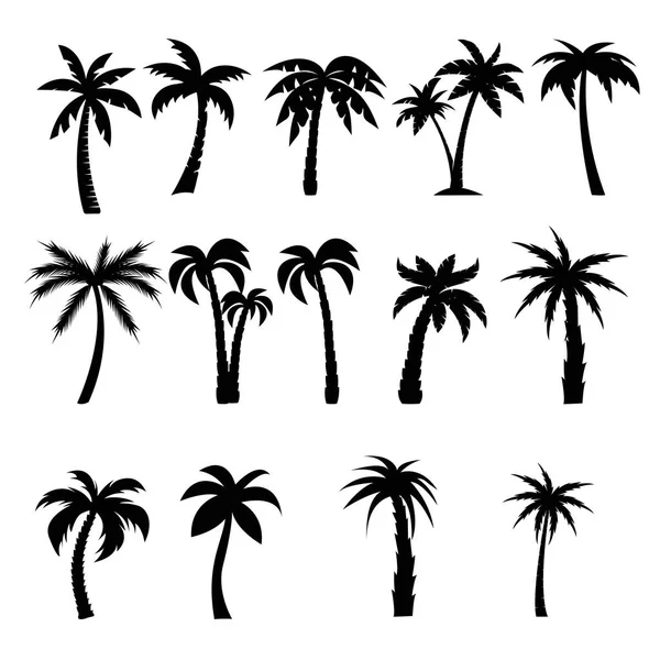 Palm trees black silhouettes set — Stock Vector