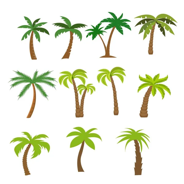 Flat vector set of palm trees — Stock Vector