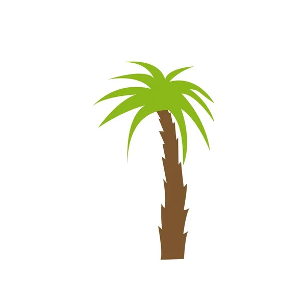 Árbol palmera aislado icono — Archivo Imágenes Vectoriales