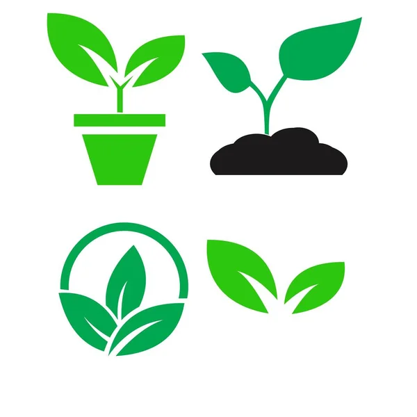 Planta verde y dejar iconos de color conjunto vector — Vector de stock