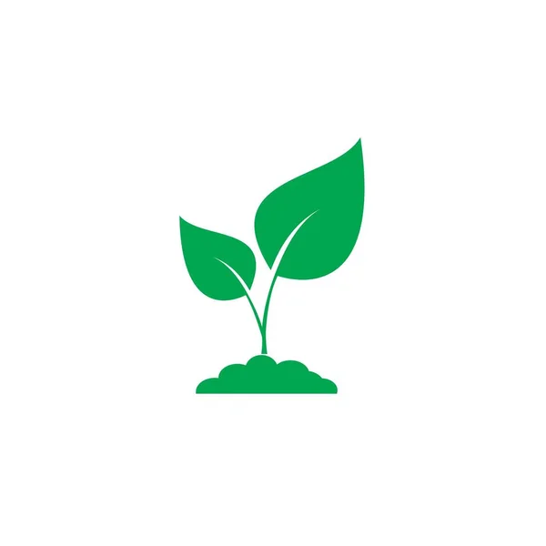 Het pictogram van de plant. teken ontwerpen — Stockvector