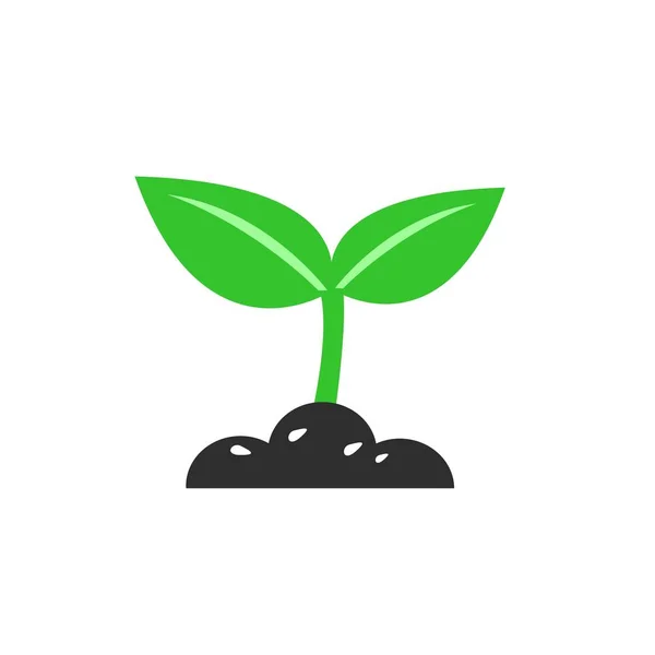 Pflanzen-Symbol. Schilderdesign — Stockvektor