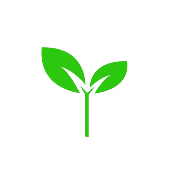 Het pictogram van de plant. teken ontwerpen — Stockvector