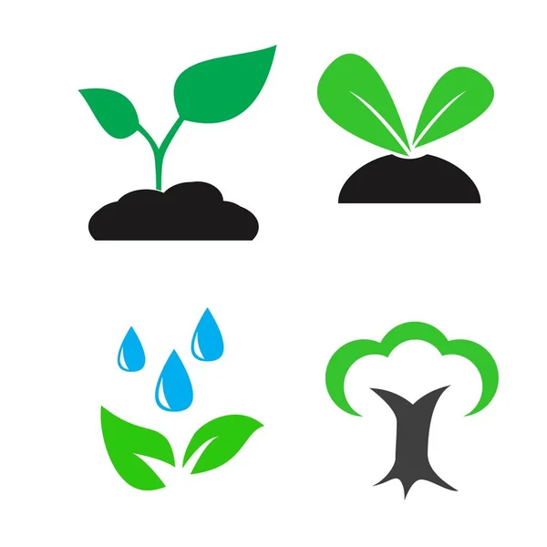 Planta verde e deixar ícones de cor conjunto vetor — Vetor de Stock