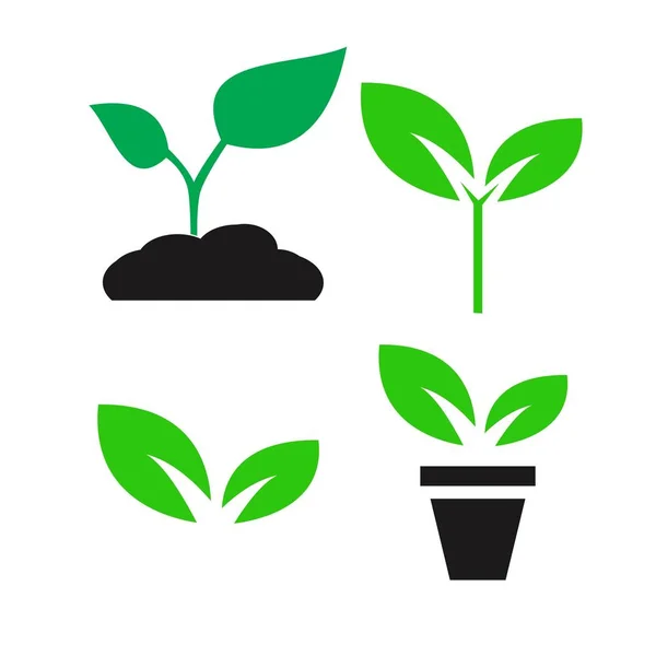 Planta verde y dejar iconos de color conjunto vector — Vector de stock