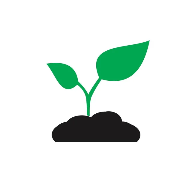 Pflanzen-Symbol. Schilderdesign — Stockvektor