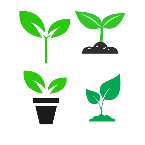 Zelená rostlina a nechat barevné ikony nastavit vektor — Stockový vektor