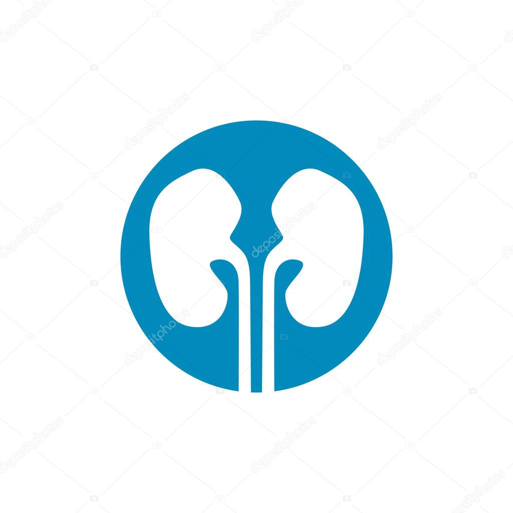 Human kidneys icon, vector illustration