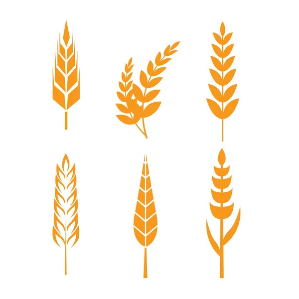 Wheat ears icons set. Ear and organic wheat — Stock Vector