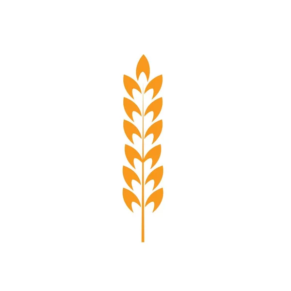 Ears of wheat in front of white background. — Stock Vector