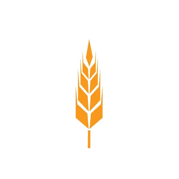 Ears of wheat in front of white background. — Stock Vector