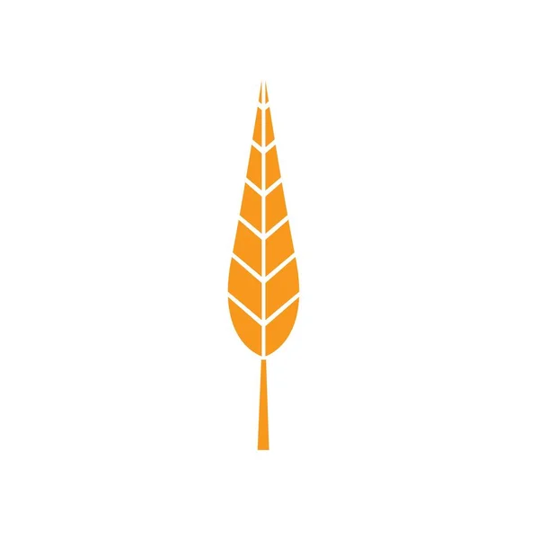 Ears of wheat in front of white background. — Stock Vector