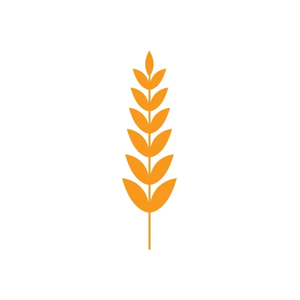 Ears of wheat in front of white background. — Stock Vector