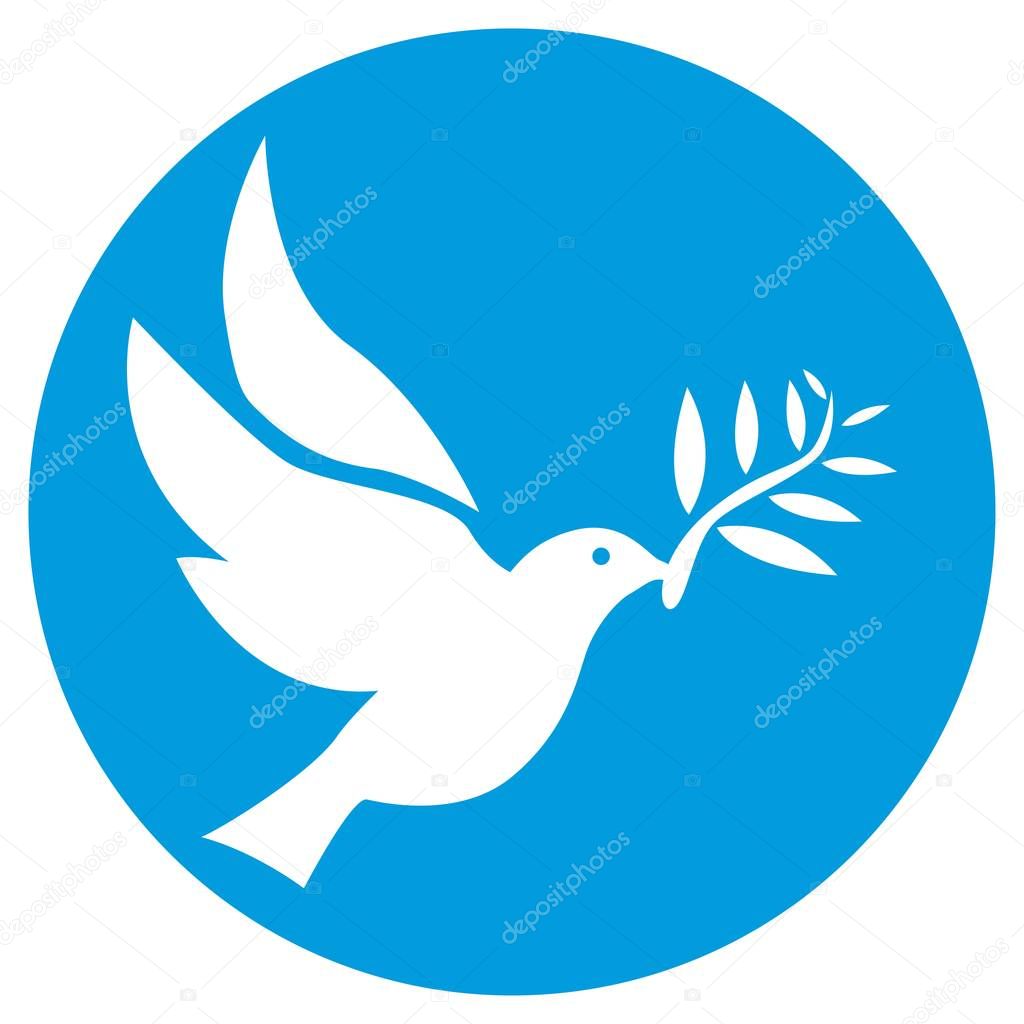 Dove of white color symbol of peace isolated in circle