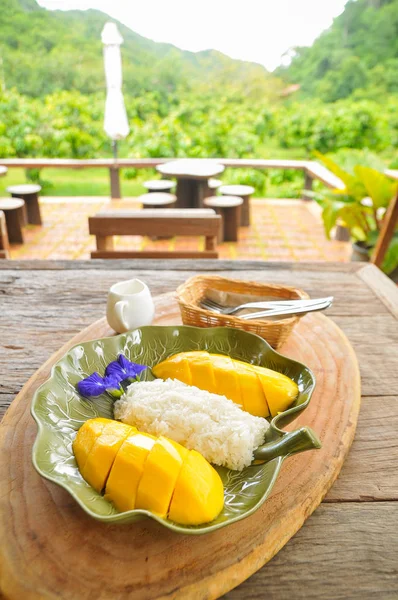 Set aus reifer Mango und klebrigem Reis Stockbild