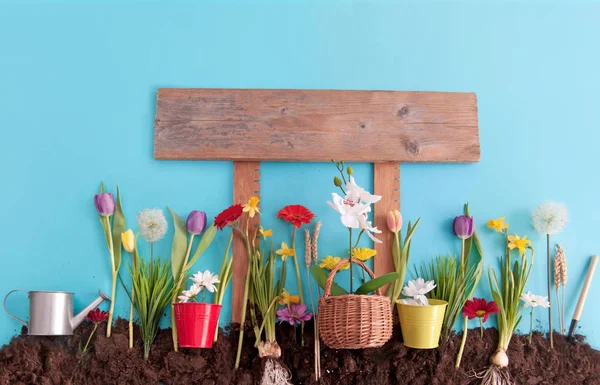 木製の看板記事で春の庭 — ストック写真