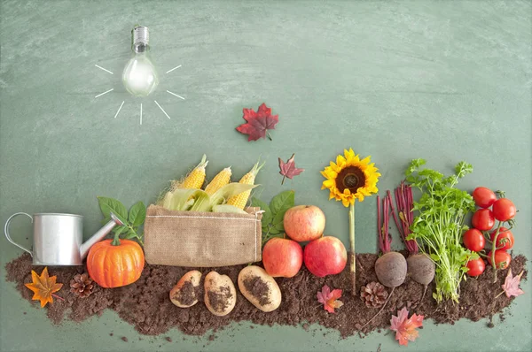Autumn organic food produce — Stock Photo, Image