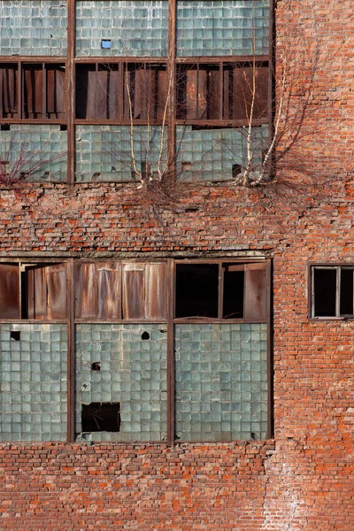 Τοίχος Του Ερειπωμένου Εργοστασίου Σπασμένα Παράθυρα Και Φυτεμένα Δέντρα Στα — Φωτογραφία Αρχείου