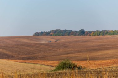 Fields with plants on a sunny day
