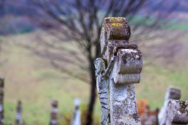 Terk edilmiş bir mezarlıkta haçlı mezarlar.