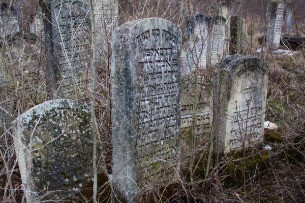 Eski Terk Edilmiş Yahudi Mezarlığı — Stok fotoğraf