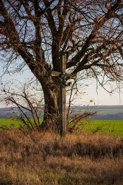Starożytny Drewniany Krzyż Pod Drzewem Przy Drodze — Zdjęcie stockowe