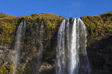 Muhteşem Seljalandsfoss şelale Güney İzlanda '. Şelale ve 60 metre damla Seljalands nehir parçası.